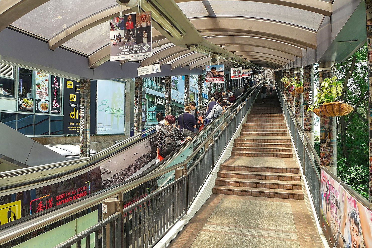 Central-Mid-Levels Escalator – Dark Night